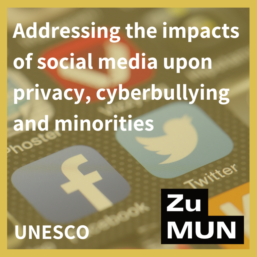Addressing the impacts of social media upon privacy, cyberbullying and minorities