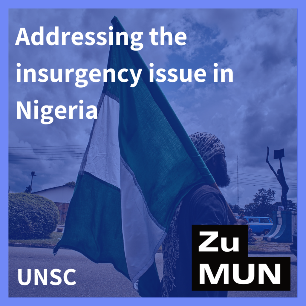 Addressing the insurgency issue in Nigeria